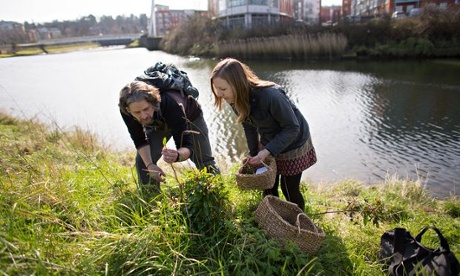 You don’t have to live in the country to find edible plants.