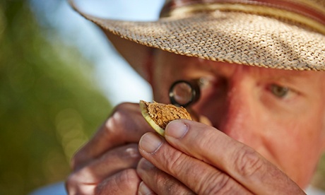 Almonds are an ancient crop originally from the dry, sun-drenched regions of the Mediterranean