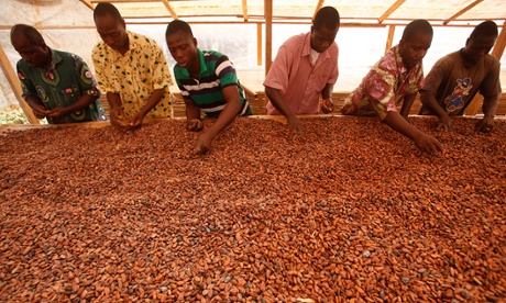 With its Latin name Theobroma meaning ‘food of the gods’, cocoa is today grown primarily by smallholder farmers in emerging market countries that form a narrow band around the equator such as Ivory Coast, Ghana, Nigeria, Tanzania, Indonesia and Brazil.