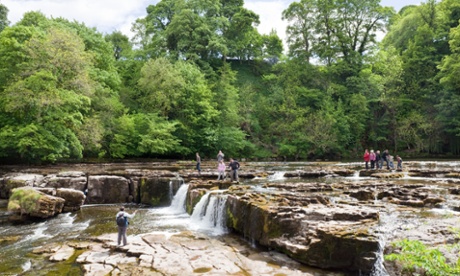 The Upper Falls on the river Ure at Aysgarth, North Yorkshire.