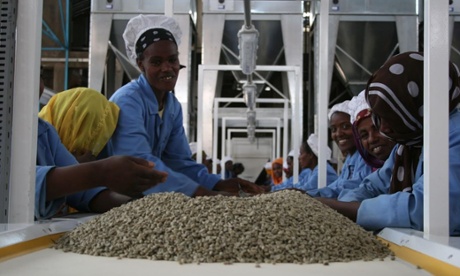 Processing coffee at Oromia coffee farmers cooperative, Ethiopia.