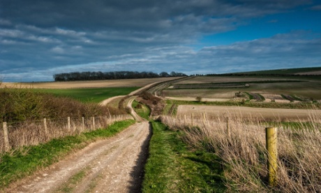 The chalky footpath to Wepham Down.