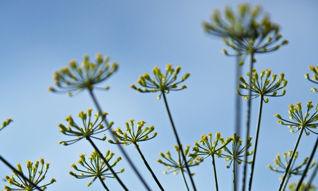 The parties want to beguile us with images of a sunny, blue-sky future.