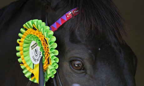  The winner of the Grand National Many Clouds with rosette