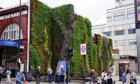 Living wall Edgware Road tube station
