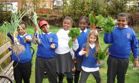 Rockmount primary school harvesting food