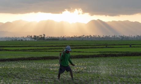 Philippines farmer