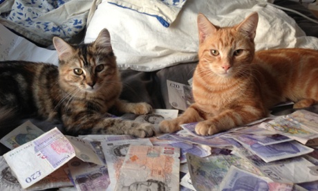 Cats on cash