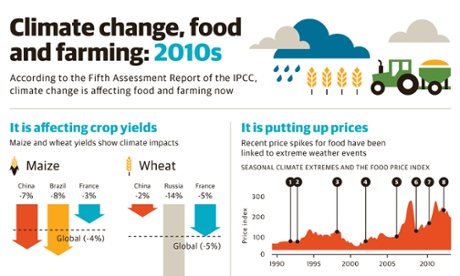 Data visualisation for researchers masterclass.