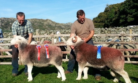 Two shepherds with their sheep