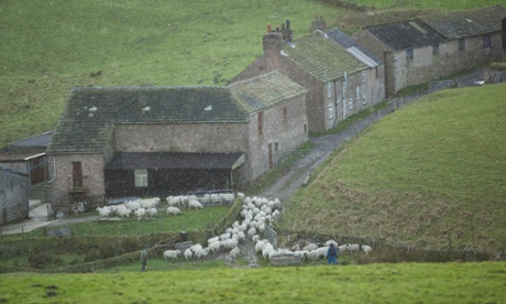 A farmer bringing his sheep down off the hills as snow blows in near Forest Chapel on the Cheshire / Derbyshire border alongside the notoriously dangerous and weather affected  Cat and Fiddle Road between Buxton and Macclesfield, 13th December 2011.