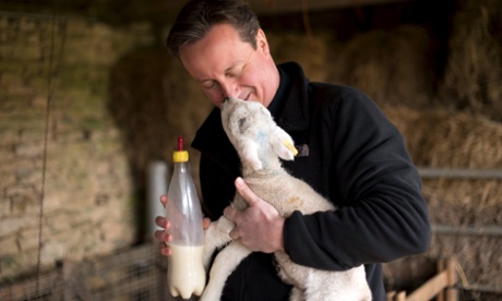 David Cameron with an orphaned lamb on Dean Lane farm near the village of Chadlington.