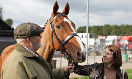 Dark Horse: no-frills story of the Welsh Grand National winner Dream Alliance.