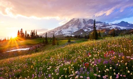 Buttes and beasts: amazing US national parks – in pictures
