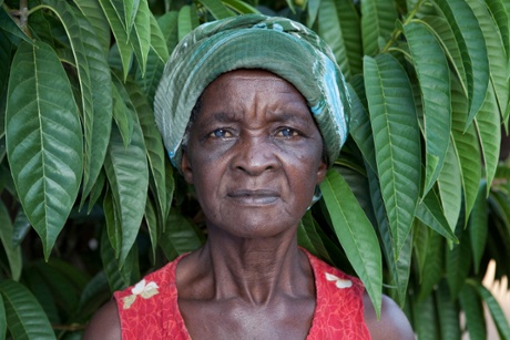 Amai Kauswe standing in her food forest