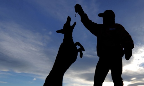 The look of love: the findings point to a virtuous circle that triggers the release of oxytocin in people and their dogs and so strengthens the bonds between them.