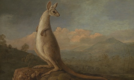 The Kongouro from New Holland,  1772 by George Stubbs.