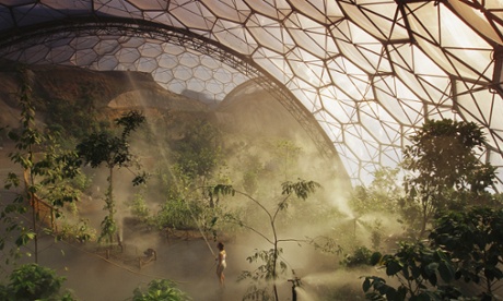 plants in greenhouse