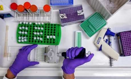 A scientist testing drugs