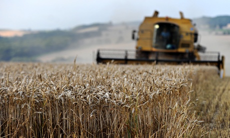 Farming 'needs to be priority'