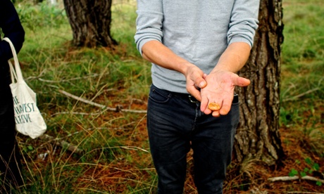Mushrooms taste better when you've picked them yourself. 
