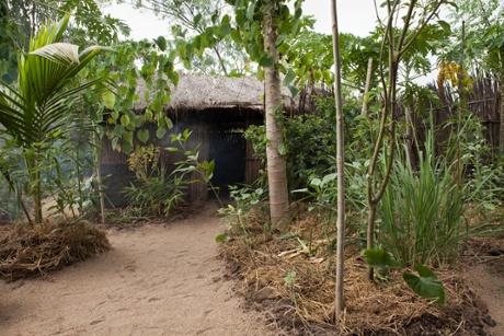 African Moringa and Permaculture Project’s household permaculture gardens