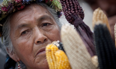 A woman participates in a protest against transgenic corn on 14 May, 2014 in Mexico City, Mexico. Activists from all around the world rallied in the sidelines of a global protest day against the transgenic company Monsanto, demanding the support to local farmers and the protection of the food supply.