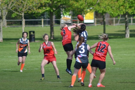 South East London Giants vs North London Lions in this year's Shea Sports Cup