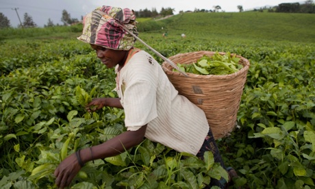 fair trade female farmer