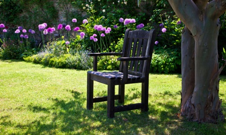 A lawn with a tree and shade