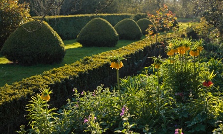 Late afternoon sun on hedges and flowers in an English country garden.