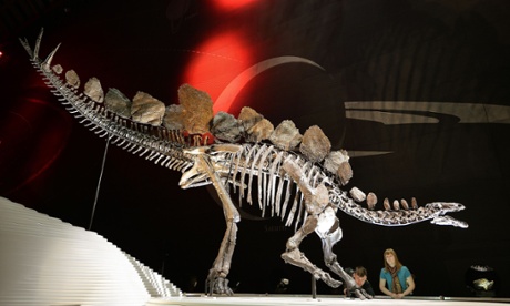 Stegosaurus