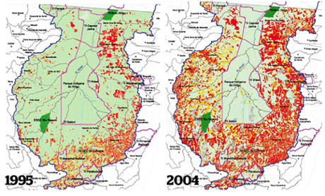 The Xingu indigenous park (outlined in pink) is home to several tribes. It   provides a vital barrier to deforestation (in red) in the Brazilian Amazon.