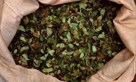 a sack of coca leaves
