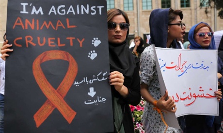 A group of Iranians participating in a protest at the killings of stray dogs in front of the municipality in Shiraz.