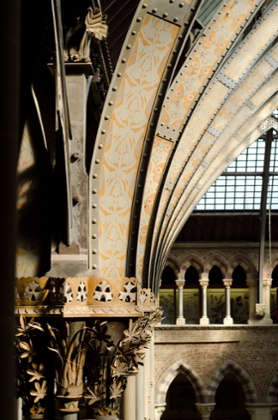 Oxford University Museum of Natural History.