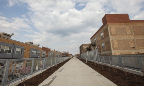 Shrubs have been planted along the length of the trail