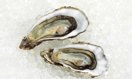 European native oysters are a flatter and more delicate species than the Pacific oysters farmed almost everywhere