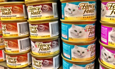 cat food