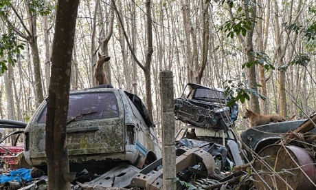 Left To Nature What's been abandoned in your environment?