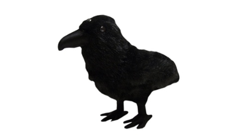 Squawk! Three-Eyed Raven Plush.