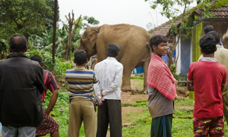 Anada Kumar Whitley Awards 2015