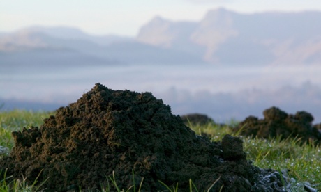 Not just for moles – soil is essential for all life on Earth. We need to take care of it.