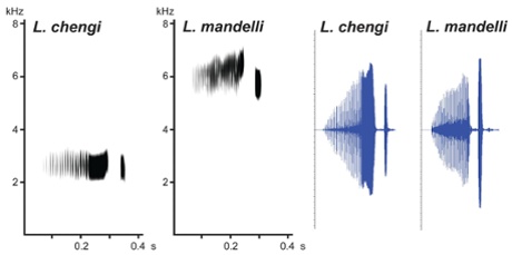 Per AlströmSonograms