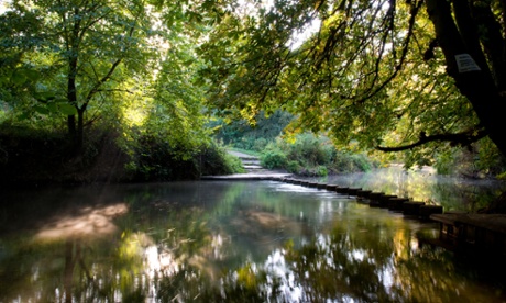 stepping stones river mole