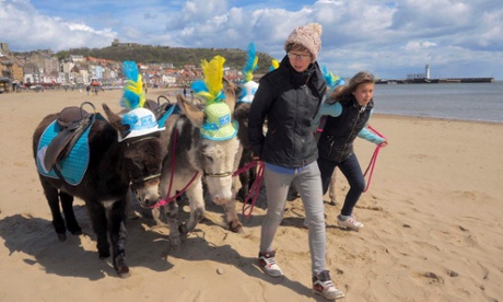 Donkeys in Scarborough ready for the Tour de Yorkshire