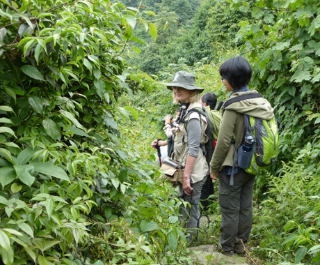 ResearchTeamSichuanProvinceChina