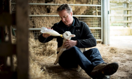 David Cameron feeds an orphaned lamb