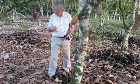 Mike Thresh on a visit to a cocoa plantation.