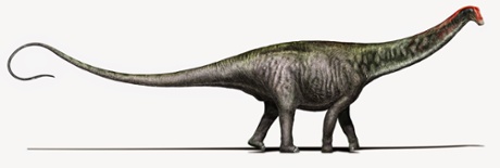Brontosaurus as researchers see it today, with a Diplodocus-like head.